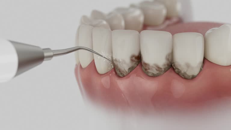 Reliable Dental contractor in Tybee Island, GA by Dentist Open Now